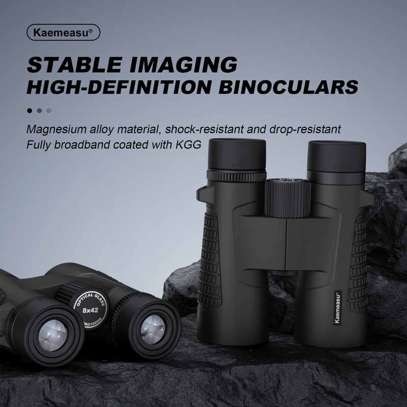 Kaemeasu C Modell schwarz 10x42 HD wasserdichtes Fernglas für Erwachsene, Fernglas für Vogelbeobachtung und Wandern, Optik mit BAK4-Prisma, stoßdichtes Magnesium-Legierungskörper, klares und helles Sehen